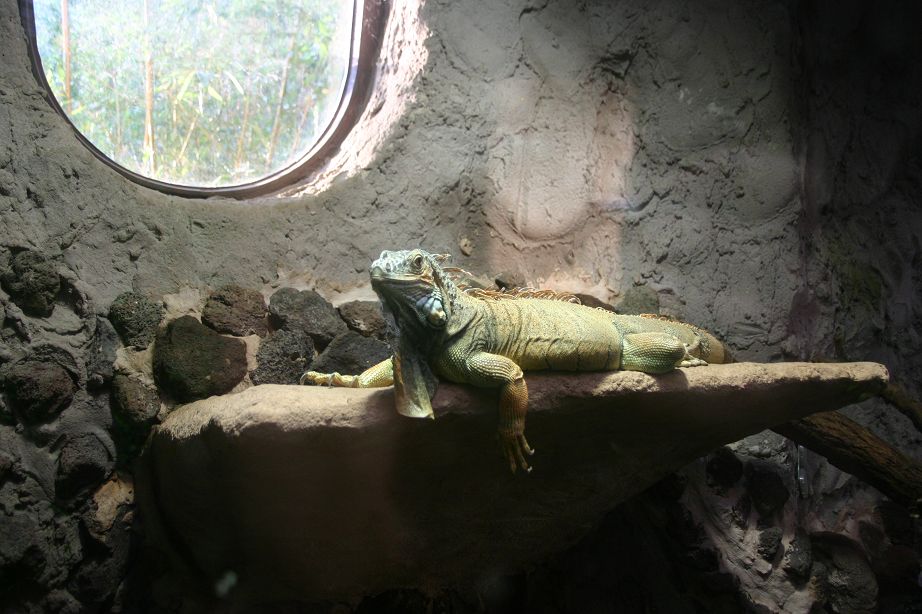 2011040701544829_k-Zoo & Jana 066.jpg